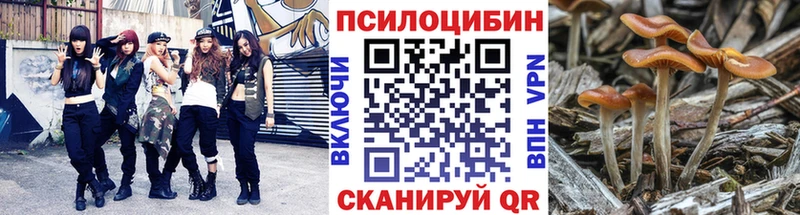 Галлюциногенные грибы ЛСД  Купить закладки  Сольвычегодск 