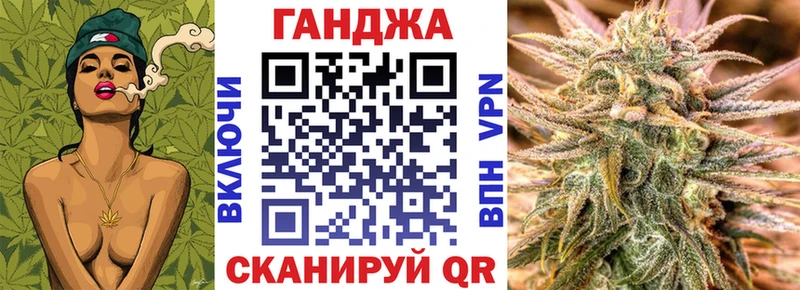 Купить закладки  Сольвычегодск  Бошки марихуана сатива 